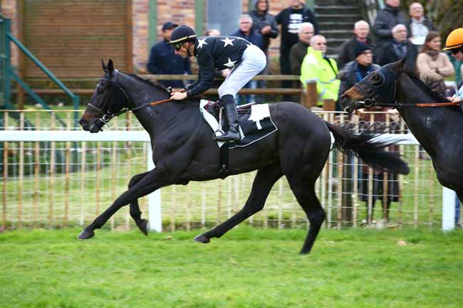 Photo d'arrivée de la course pmu PRIX DE VICHY à FONTAINEBLEAU le Jeudi 17 novembre 2016