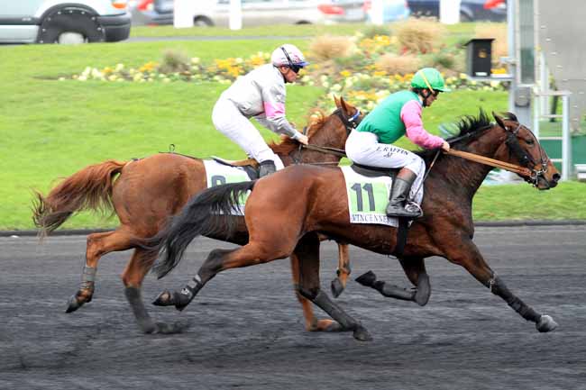 Photo d'arrivée de la course pmu PRIX DE VALENCIENNES à PARIS-VINCENNES le Jeudi 17 novembre 2016