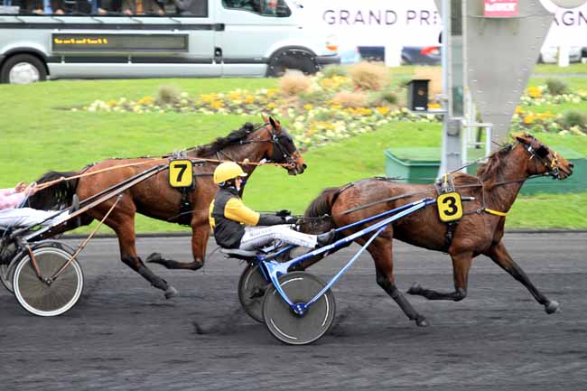 Photo d'arrivée de la course pmu PRIX DE CASTRES (GR A) à PARIS-VINCENNES le Jeudi 17 novembre 2016