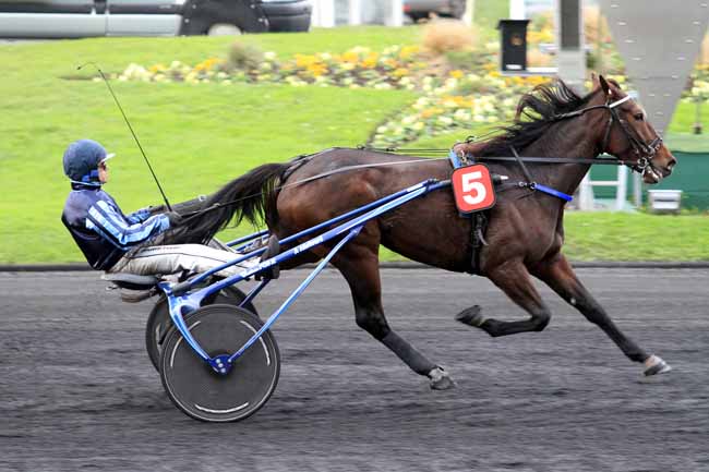 Photo d'arrivée de la course pmu PRIX DE CASTRES (GR B) à PARIS-VINCENNES le Jeudi 17 novembre 2016