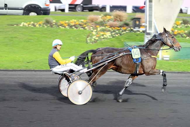 Photo d'arrivée de la course pmu PRIX DE BELFORT à PARIS-VINCENNES le Jeudi 17 novembre 2016