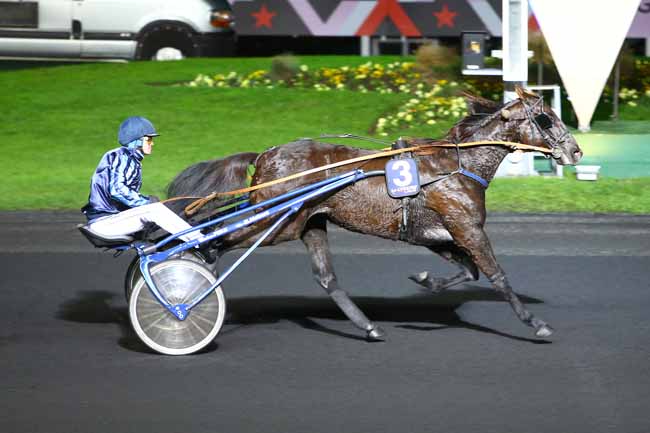 Photo d'arrivée de la course pmu PRIX MIZAR à PARIS-VINCENNES le Vendredi 18 novembre 2016