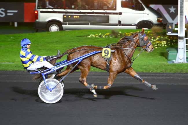 Photo d'arrivée de la course pmu PRIX VULPECULA à PARIS-VINCENNES le Vendredi 18 novembre 2016