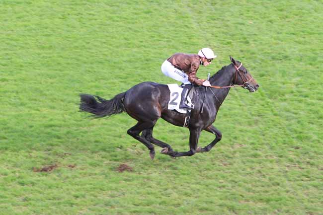 Photo d'arrivée de la course pmu PRIX LA SEGA à SAINT-CLOUD le Vendredi 18 novembre 2016