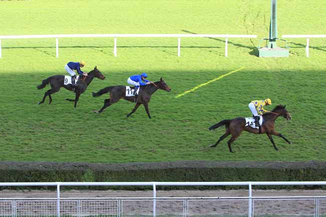 Photo d'arrivée de la course pmu PRIX BELLE DE NUIT à SAINT-CLOUD le Vendredi 18 novembre 2016