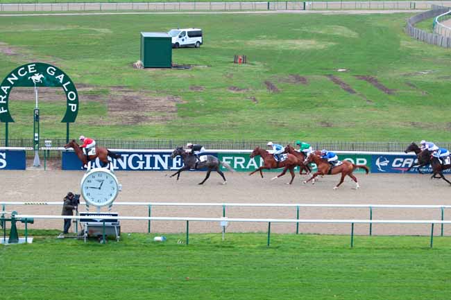Photo d'arrivée de la course pmu PRIX DES DAGUETS à CHANTILLY le Mardi 22 novembre 2016