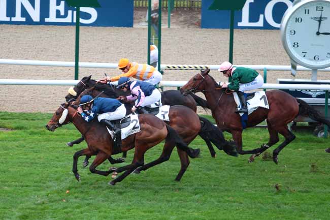 Photo d'arrivée de la course pmu PRIX HEROD à CHANTILLY le Mardi 22 novembre 2016