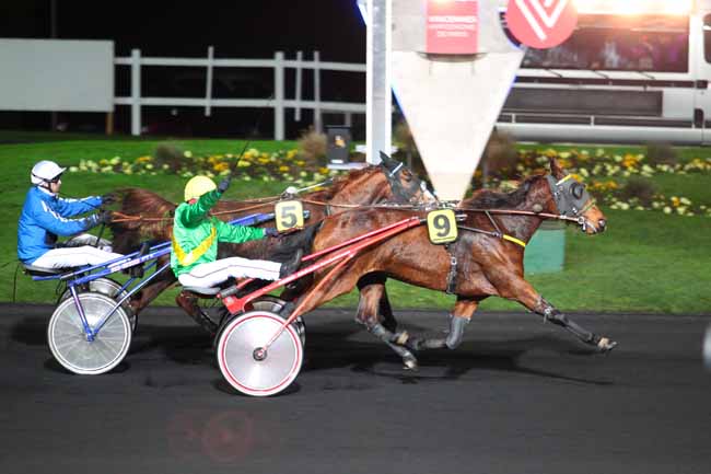 Photo d'arrivée de la course pmu PRIX TERCIDINA à PARIS-VINCENNES le Mardi 22 novembre 2016