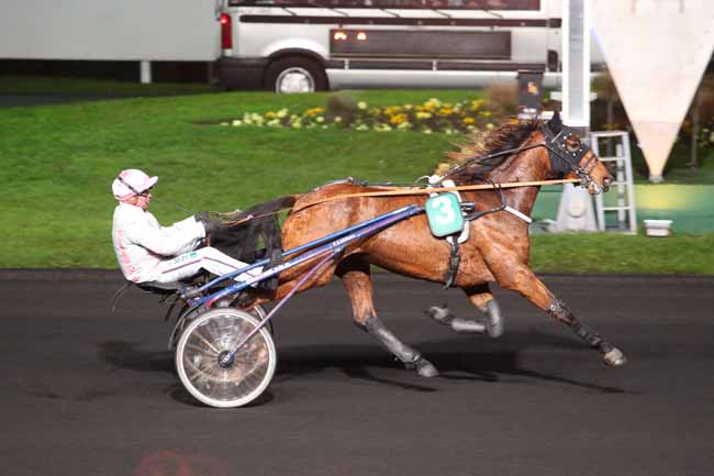 Photo d'arrivée de la course pmu PRIX POLYXO (GR A) à PARIS-VINCENNES le Mardi 22 novembre 2016