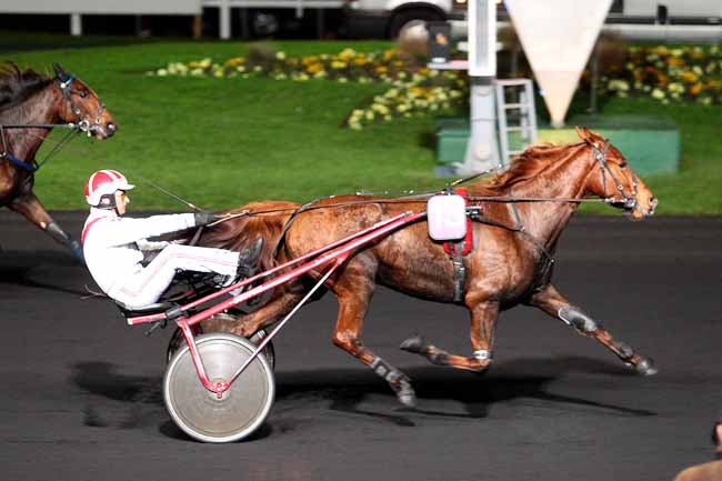Photo d'arrivée de la course pmu PRIX POLYXO (GR B) à PARIS-VINCENNES le Mardi 22 novembre 2016