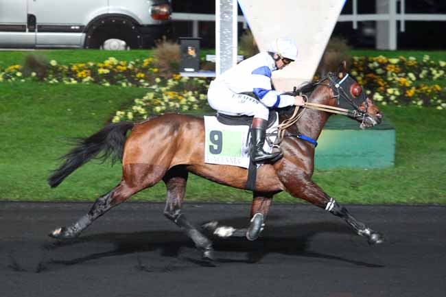 Photo d'arrivée de la course pmu PRIX ELECTRA à PARIS-VINCENNES le Mardi 22 novembre 2016