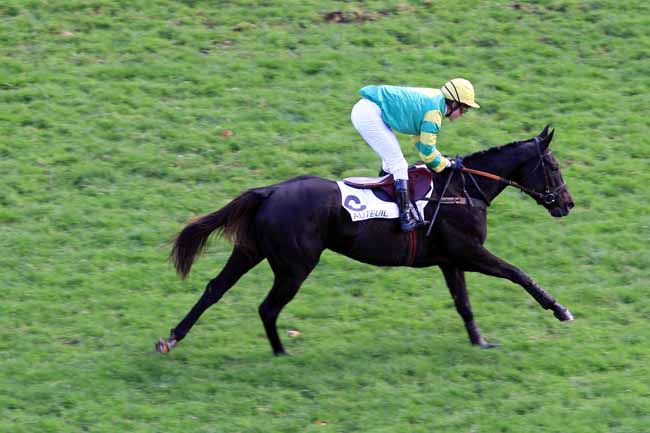 Photo d'arrivée de la course pmu PRIX SAMBRISTAN à AUTEUIL le Mercredi 23 novembre 2016