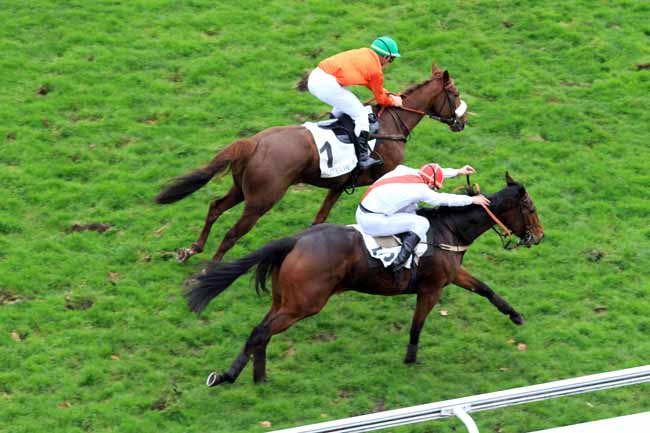 Photo d'arrivée de la course pmu PRIX DE COYE à AUTEUIL le Mercredi 23 novembre 2016