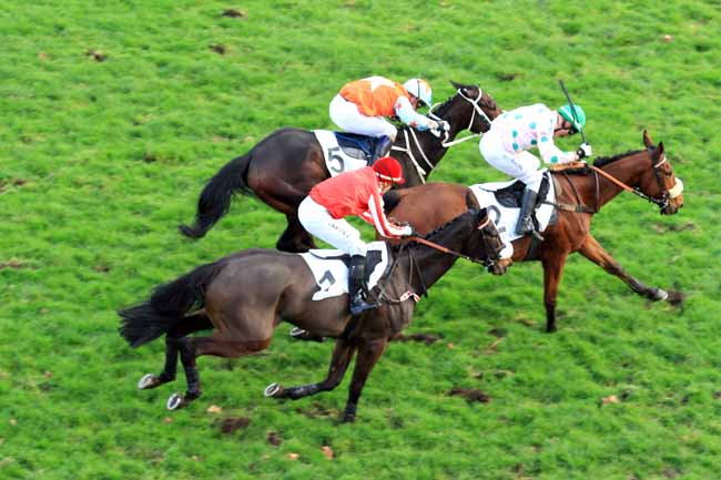 Photo d'arrivée de la course pmu PRIX GERARD PHILIPPEAU à AUTEUIL le Mercredi 23 novembre 2016