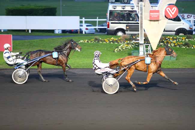 Photo d'arrivée de la course pmu PRIX DES BIGNONES à PARIS-VINCENNES le Jeudi 24 novembre 2016
