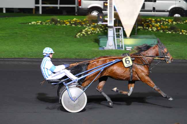 Photo d'arrivée de la course pmu PRIX THIA (GR A) à PARIS-VINCENNES le Vendredi 25 novembre 2016