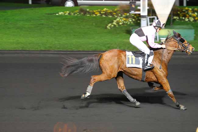 Photo d'arrivée de la course pmu PRIX PHILAGORIA à PARIS-VINCENNES le Vendredi 25 novembre 2016