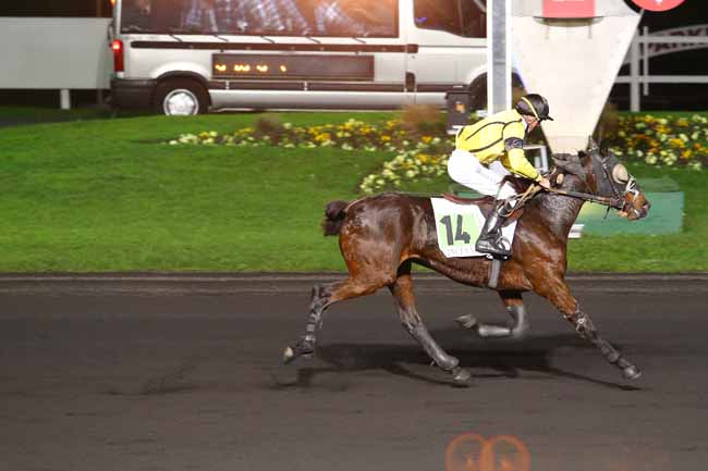 Photo d'arrivée de la course pmu PRIX HERMENTARIA à PARIS-VINCENNES le Vendredi 25 novembre 2016