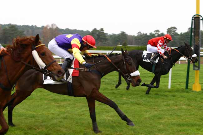 Photo d'arrivée de la course pmu PRIX DE MACHERIN (PREMIER PELOTON) à FONTAINEBLEAU le Vendredi 25 novembre 2016