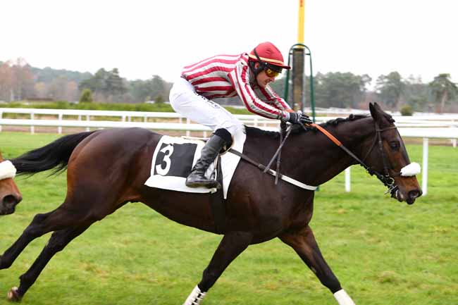 Photo d'arrivée de la course pmu GRANDE COURSE DE HAIES DE FONTAINEBLEAU à FONTAINEBLEAU le Vendredi 25 novembre 2016