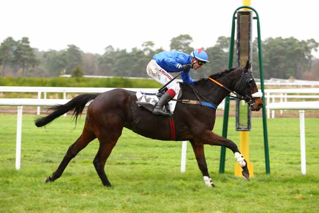 Photo d'arrivée de la course pmu GRAND STEEPLE-CHASE DE LA SOLLE à FONTAINEBLEAU le Vendredi 25 novembre 2016
