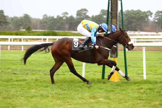 Photo d'arrivée de la course pmu PRIX DE LA GROTTE DES ERMITES à FONTAINEBLEAU le Vendredi 25 novembre 2016