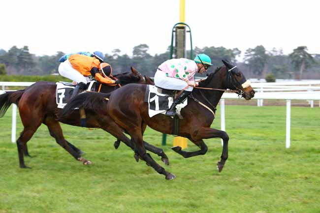 Photo d'arrivée de la course pmu PRIX DE LA FONTAINE AUX BICHES à FONTAINEBLEAU le Vendredi 25 novembre 2016