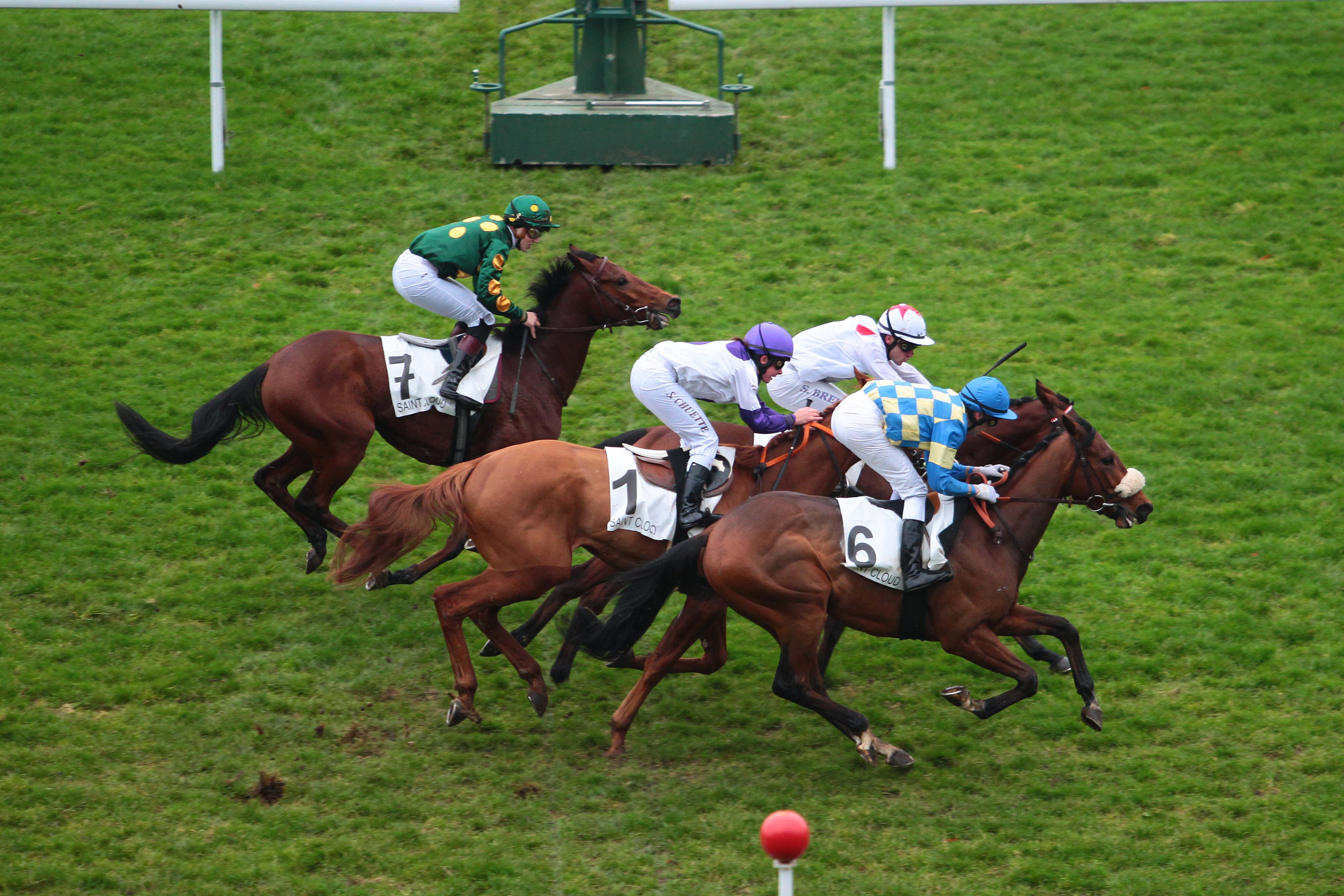 Photo d'arrivée de la course pmu PRIX DU JARDINS DES TOURNEROCHES à SAINT-CLOUD le Vendredi 25 novembre 2016