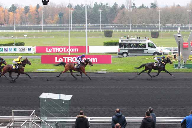 Photo d'arrivée de la course pmu PRIX DE THOISSEY à PARIS-VINCENNES le Samedi 26 novembre 2016