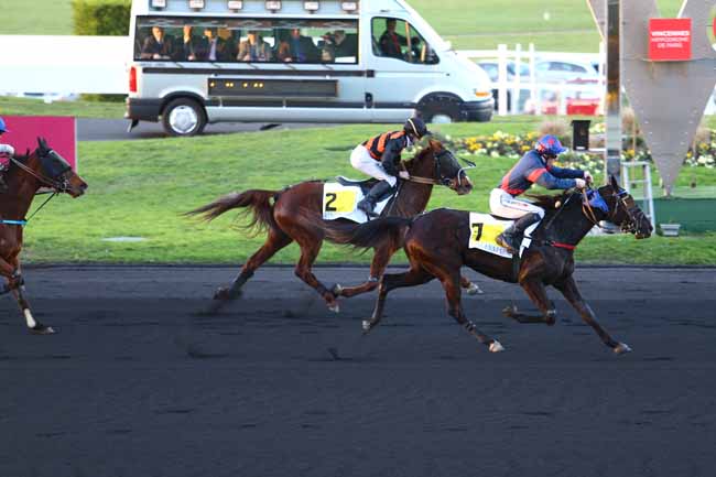 Photo d'arrivée de la course pmu PRIX DE LANDIVISIAU à PARIS-VINCENNES le Lundi 28 novembre 2016