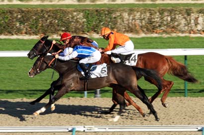Photo d'arrivée de la course pmu PRIX DE L'EPINAY à DEAUVILLE le Lundi 28 novembre 2016