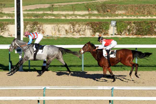 Photo d'arrivée de la course pmu PRIX DE BEAUDOUVILLE à DEAUVILLE le Lundi 28 novembre 2016