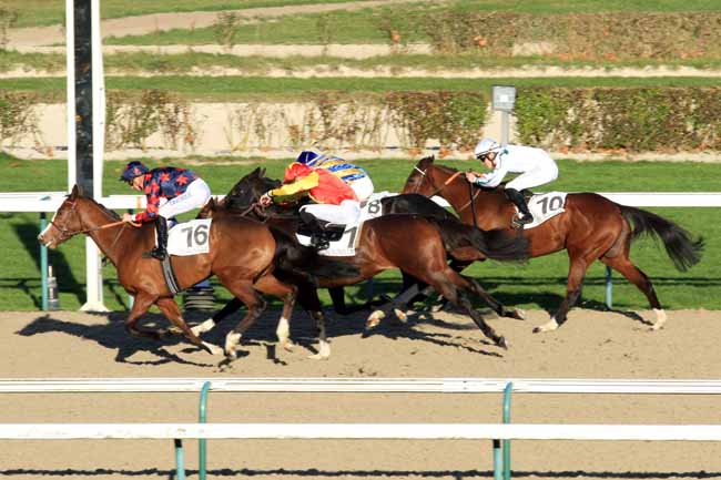 Photo d'arrivée de la course pmu PRIX DU BOIS DE LASSAY à DEAUVILLE le Lundi 28 novembre 2016