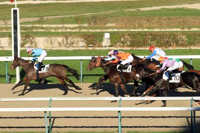 Photo d'arrivée de la course pmu PRIX DES PLANTIS à DEAUVILLE le Lundi 28 novembre 2016