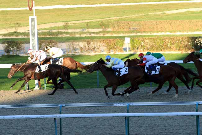 Photo d'arrivée de la course pmu PRIX DES BATELIERS à DEAUVILLE le Lundi 28 novembre 2016