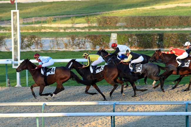 Photo d'arrivée de la course pmu PRIX DES TONNELIERS à DEAUVILLE le Lundi 28 novembre 2016