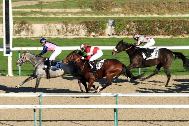 Photo d'arrivée de la course pmu PRIX DES BELLES VUES à DEAUVILLE le Mardi 29 novembre 2016