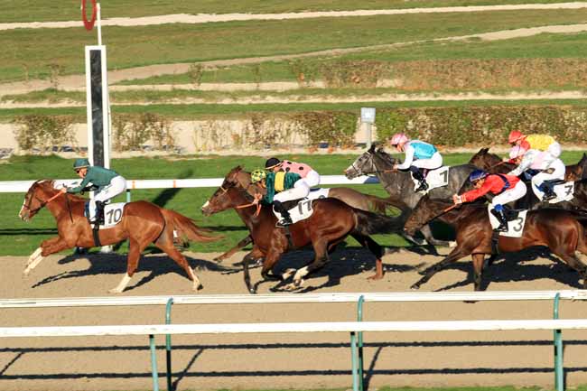 Photo d'arrivée de la course pmu PRIX PETITE ETOILE à DEAUVILLE le Mardi 29 novembre 2016