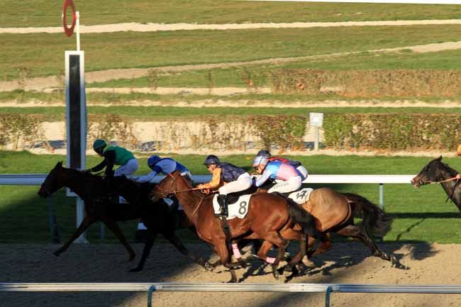 Photo d'arrivée de la course pmu PRIX DES CERISIERS à DEAUVILLE le Mardi 29 novembre 2016