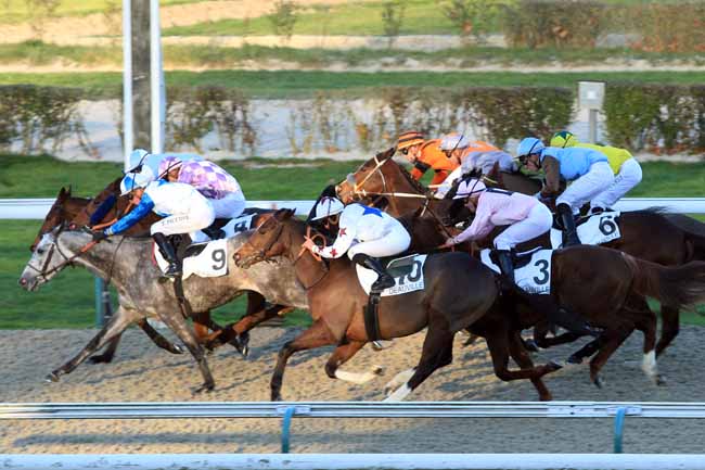 Photo d'arrivée de la course pmu PRIX DES PECHERS à DEAUVILLE le Mardi 29 novembre 2016
