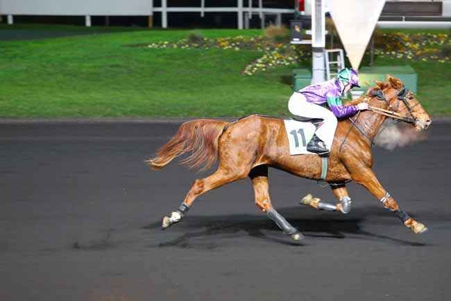 Photo d'arrivée de la course pmu PRIX OTTILIA à PARIS-VINCENNES le Mardi 29 novembre 2016