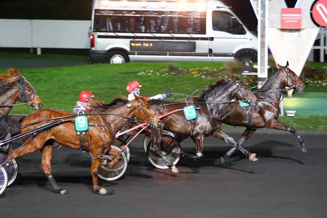 Photo d'arrivée de la course pmu PRIX URSA à PARIS-VINCENNES le Mardi 29 novembre 2016