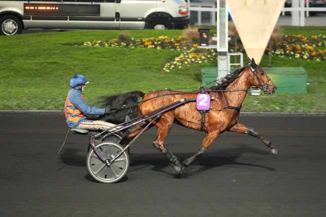 Photo d'arrivée de la course pmu PRIX DES ANEMONES à PARIS-VINCENNES le Mercredi 30 novembre 2016