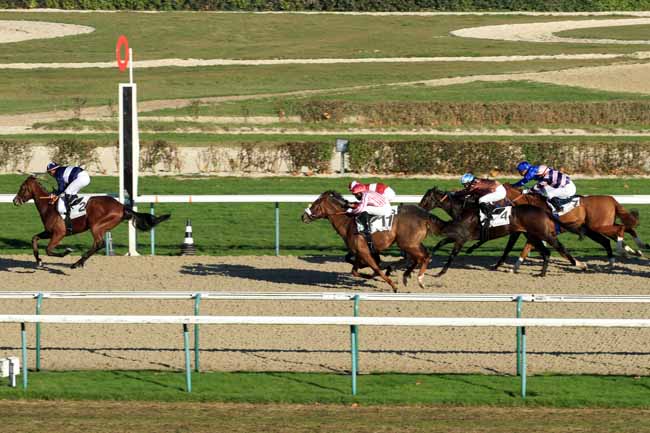 Photo d'arrivée de la course pmu PRIX DE L'EPRONNIERE à DEAUVILLE le Mercredi 30 novembre 2016
