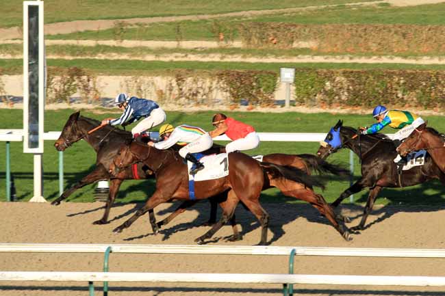 Photo d'arrivée de la course pmu PRIX DE SURVILLE à DEAUVILLE le Mercredi 30 novembre 2016