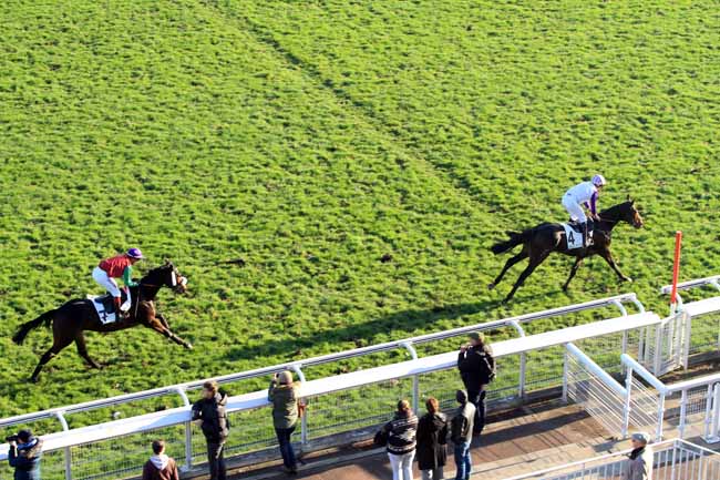 Photo d'arrivée de la course pmu PRIX CHALET à AUTEUIL le Jeudi 1 décembre 2016