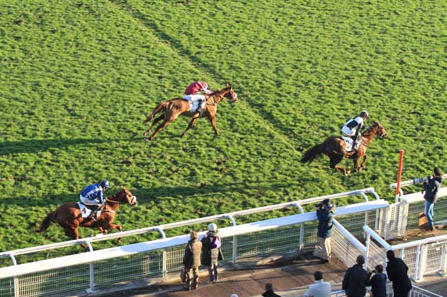 Photo d'arrivée de la course pmu PRIX SANTO PIETRO à AUTEUIL le Jeudi 1 décembre 2016