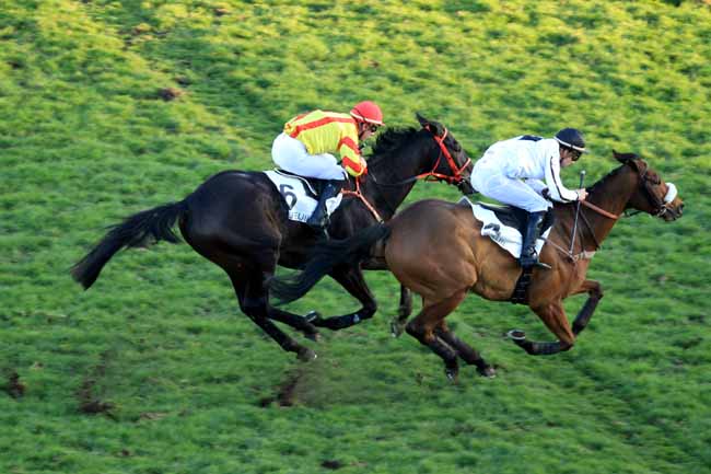 Photo d'arrivée de la course pmu PRIX DANDOLO à AUTEUIL le Jeudi 1 décembre 2016