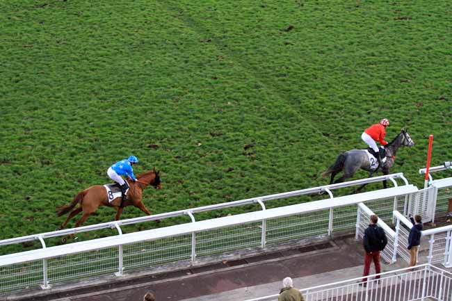 Photo d'arrivée de la course pmu PRIX CAP à AUTEUIL le Jeudi 1 décembre 2016