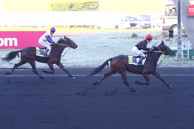 Photo d'arrivée de la course pmu PRIX DE LOUVIGNE-DU-DESERT à PARIS-VINCENNES le Jeudi 1 décembre 2016